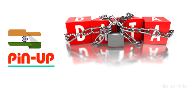 Pinup Privacy Policy India